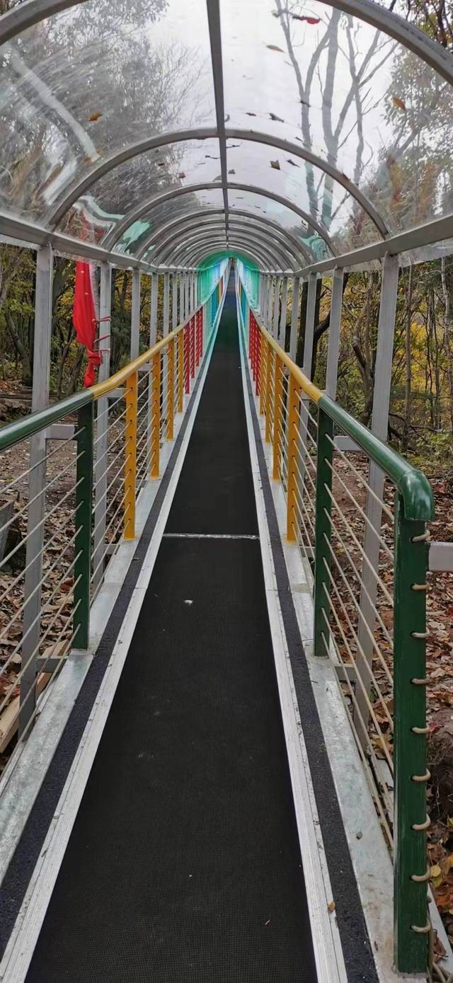 Magic carpet elevator