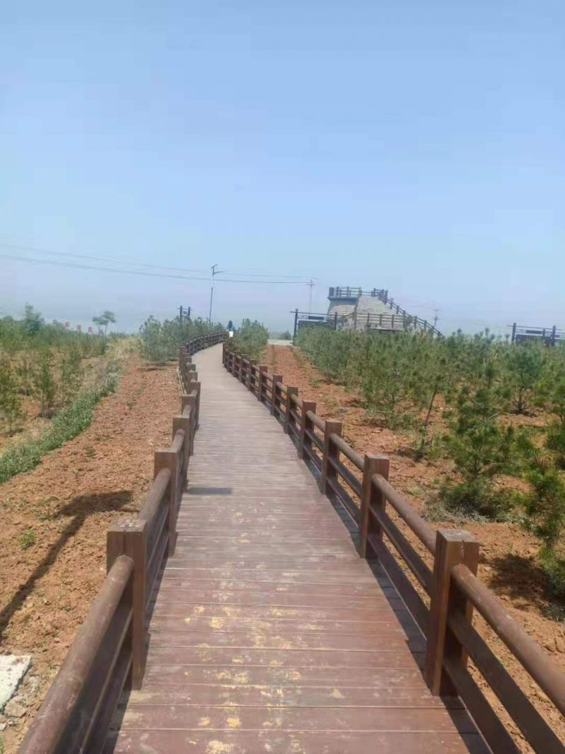 Anticorrosive wooden walkway